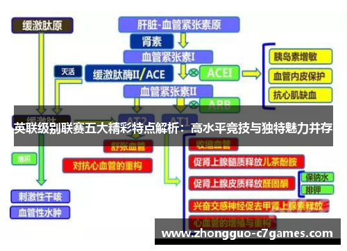 英联级别联赛五大精彩特点解析：高水平竞技与独特魅力并存