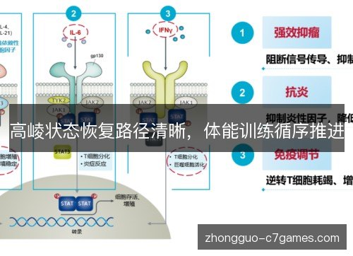 高崚状态恢复路径清晰，体能训练循序推进
